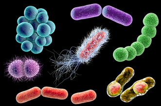 檢測細菌微生物的儀器都有哪些？